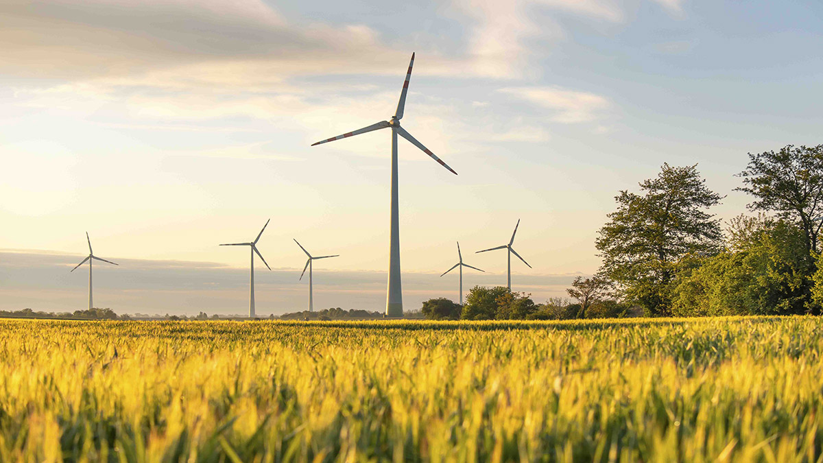 Windpark Deutsch Haslau GmbH